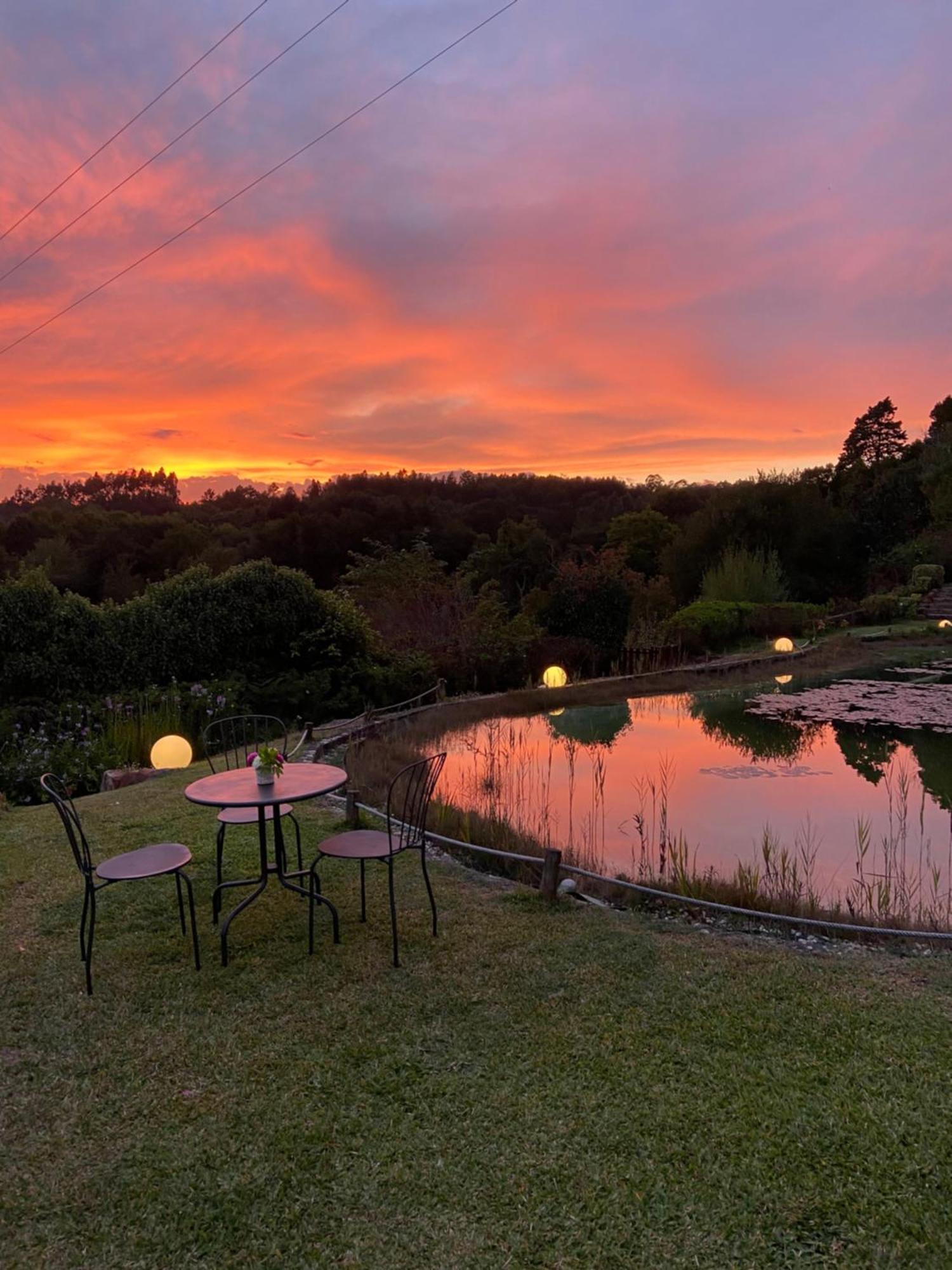 Гостьовий будинок Quinta Da Fontoura Alquerubim Екстер'єр фото