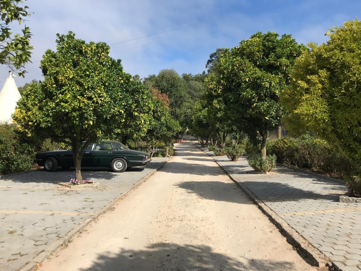 Гостьовий будинок Quinta Da Fontoura Alquerubim Екстер'єр фото